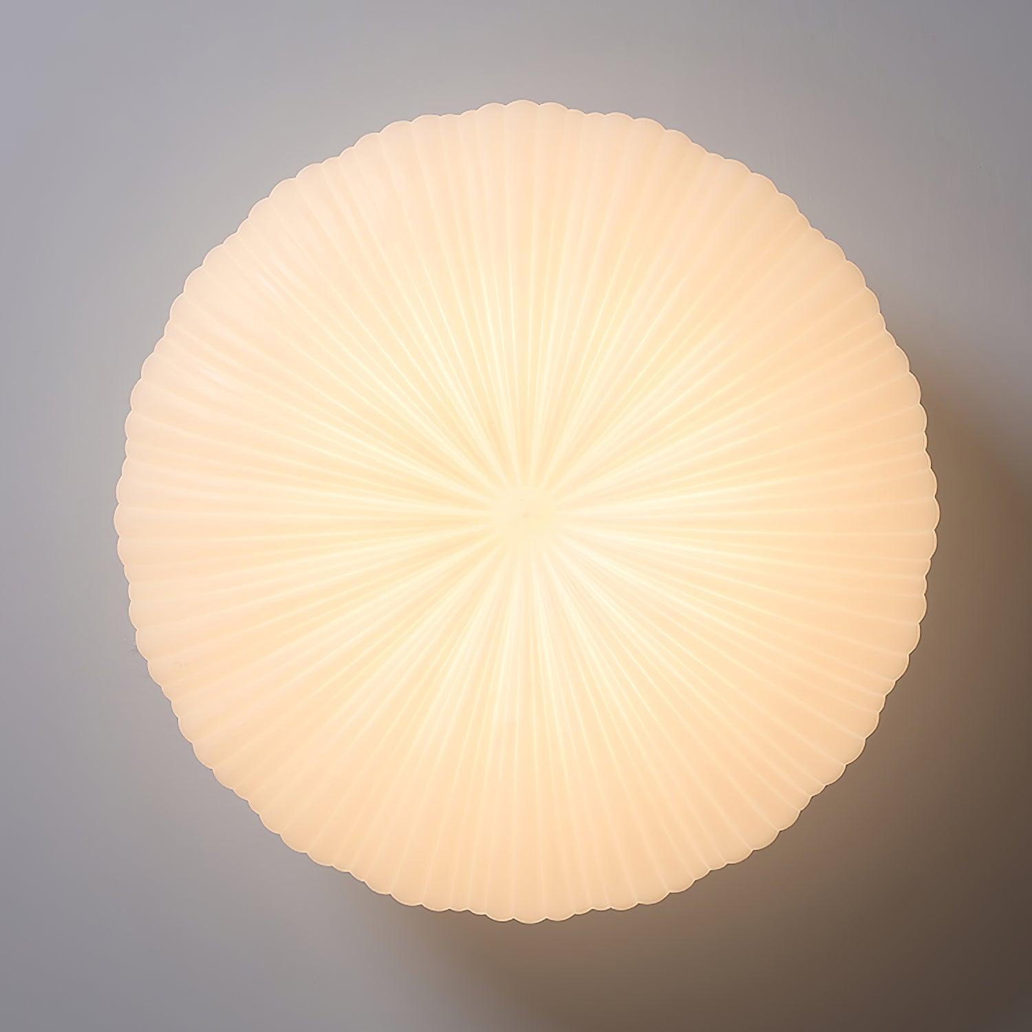 Ribbed Shell Ceiling Light