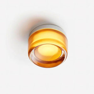 Rounded Glass Wall Sconce