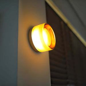 Rounded Glass Wall Sconce