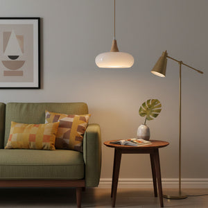 Curved Glass Wood Pendant