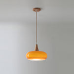 Curved Glass Wood Pendant