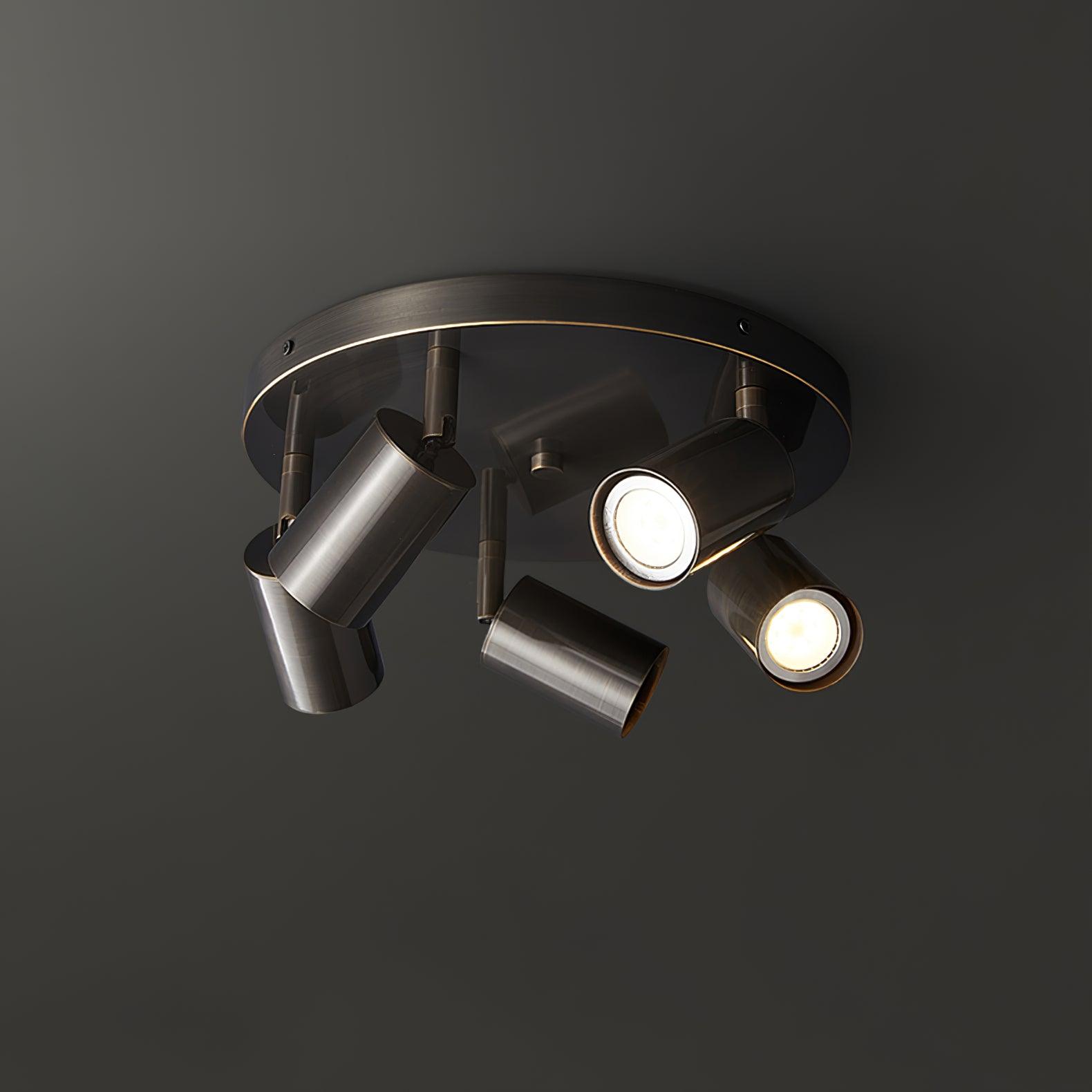 Halo Multi-Head Spotlight