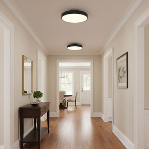 Aura Flush Mount Light