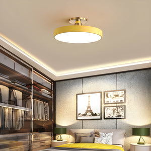 Aura Flush Mount Light