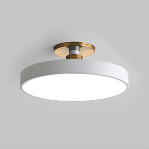 Aura Flush Mount Light