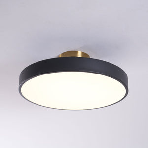 Aura Flush Mount Light