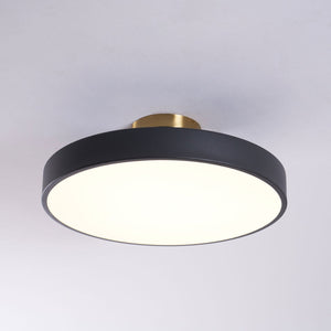 Aura Flush Mount Light