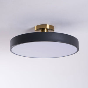 Aura Flush Mount Light