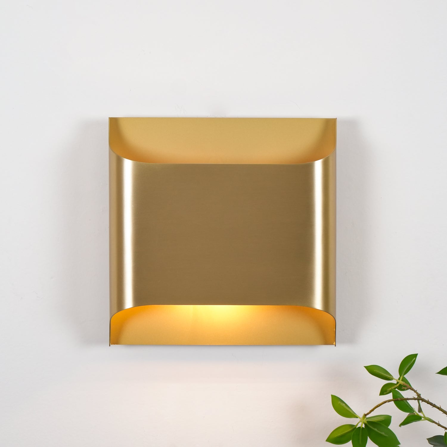 Curved Brass Sconce