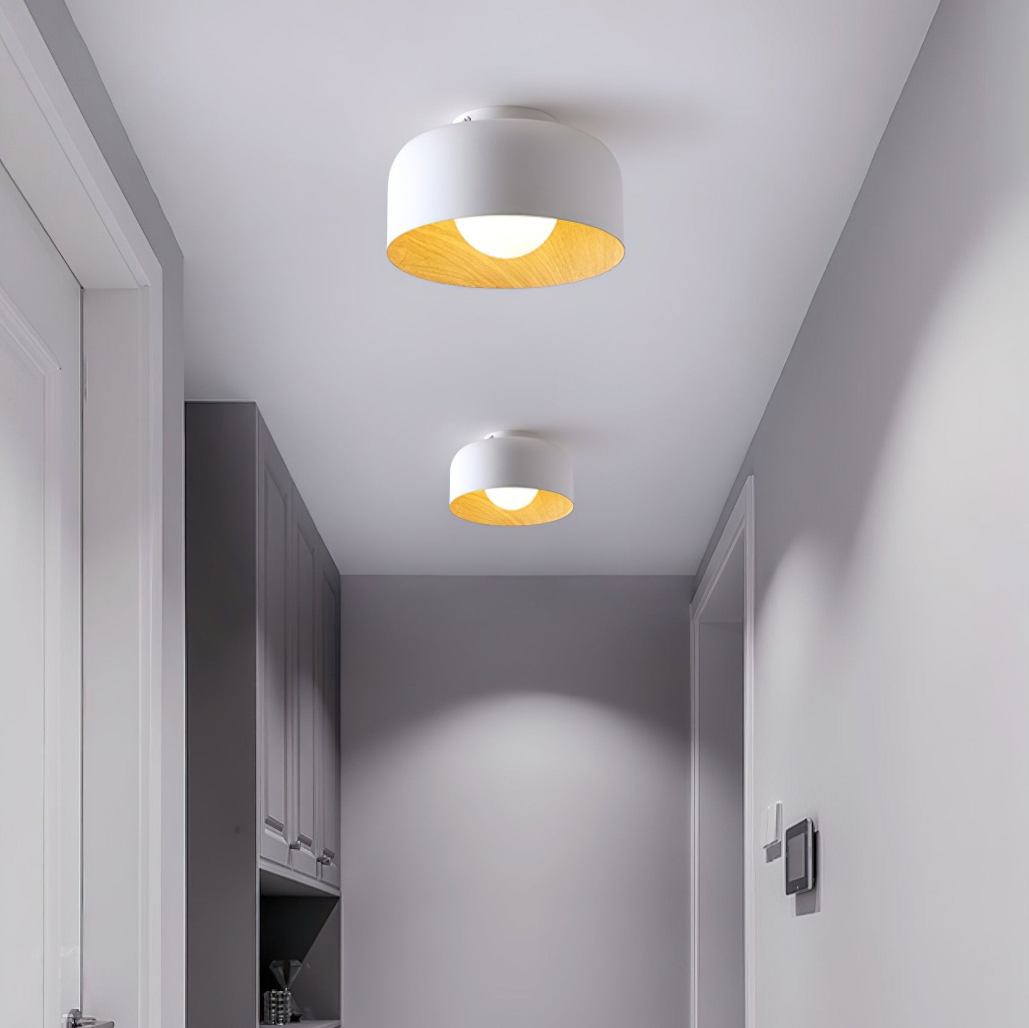 Nimbus Flush Ceiling Light