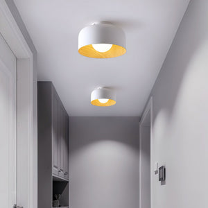 Nimbus Flush Ceiling Light