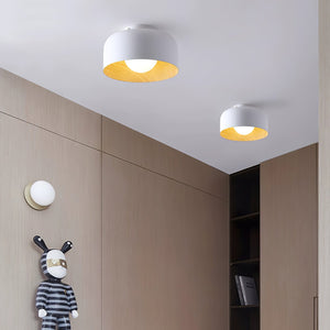 Nimbus Flush Ceiling Light