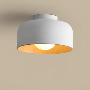 Nimbus Flush Ceiling Light