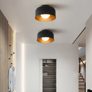 Nimbus Flush Ceiling Light