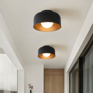 Nimbus Flush Ceiling Light