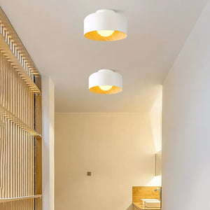 Nimbus Flush Ceiling Light