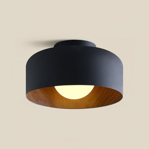 Nimbus Flush Ceiling Light