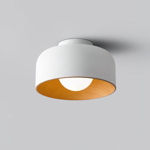 Nimbus Flush Ceiling Light