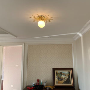 Brass Starburst Flush