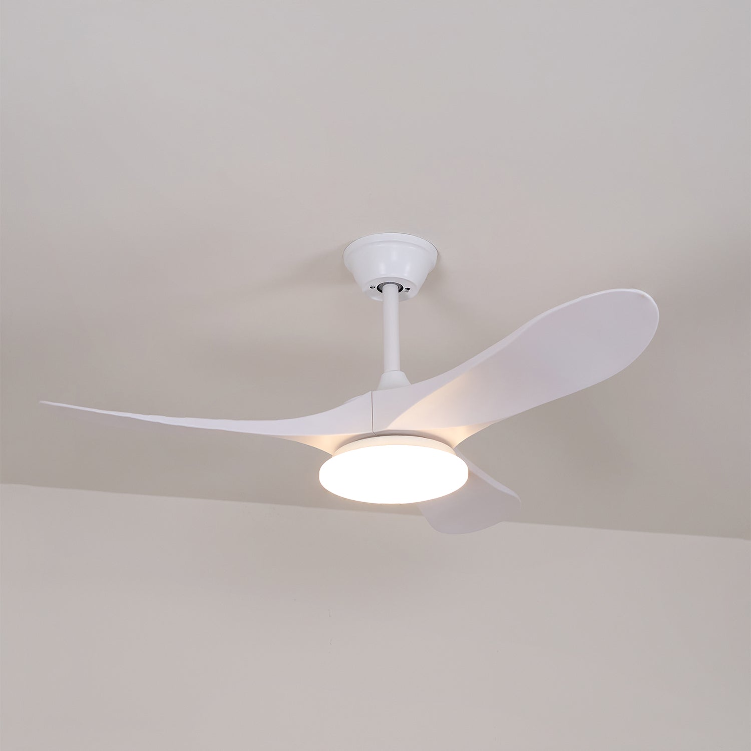 Curved Wood Fan Light