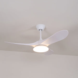 Curved Wood Fan Light