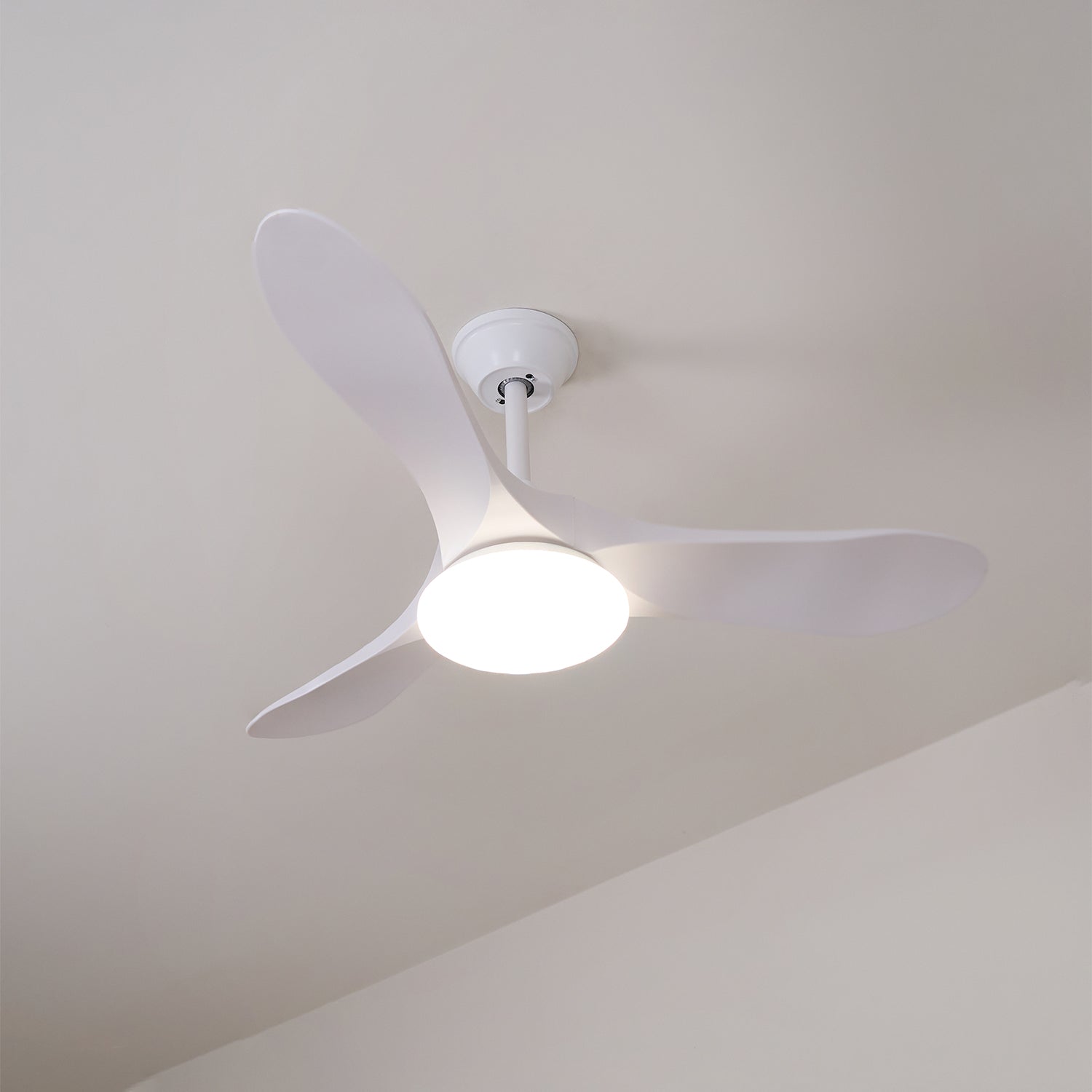 Curved Wood Fan Light