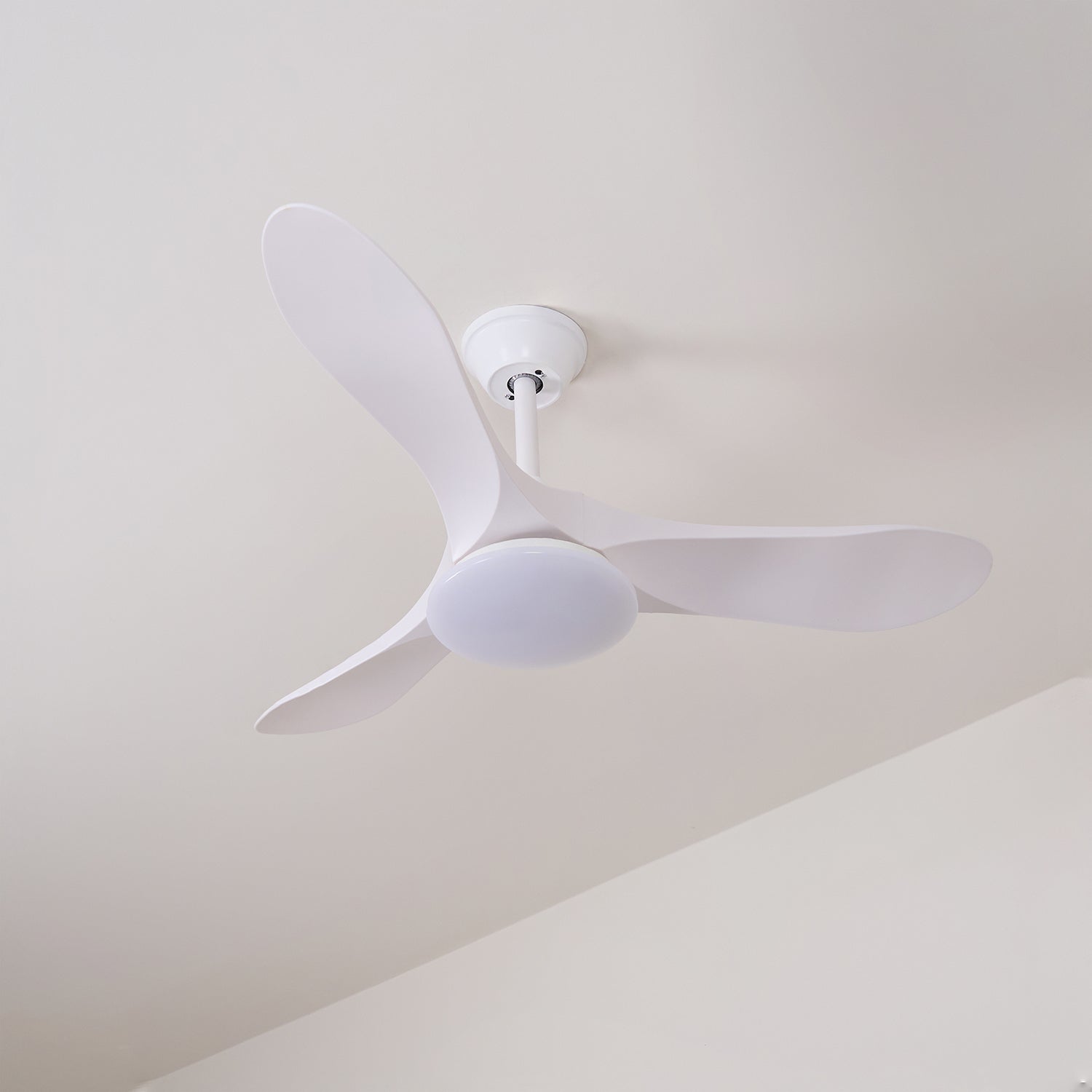 Curved Wood Fan Light