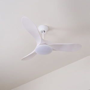 Curved Wood Fan Light