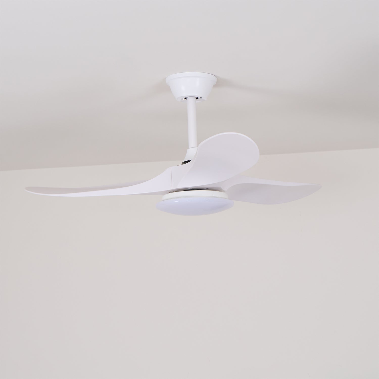 Curved Wood Fan Light