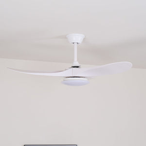 Curved Wood Fan Light