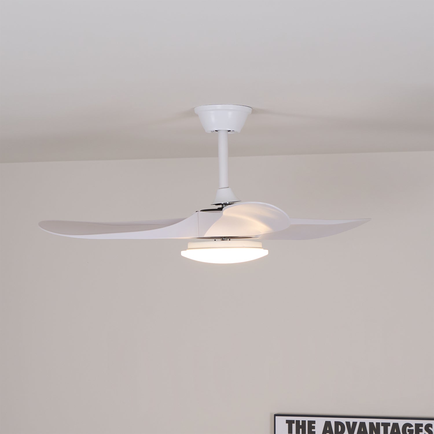 Curved Wood Fan Light