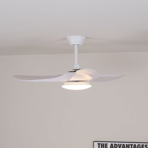 Curved Wood Fan Light