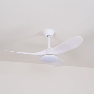 Curved Wood Fan Light