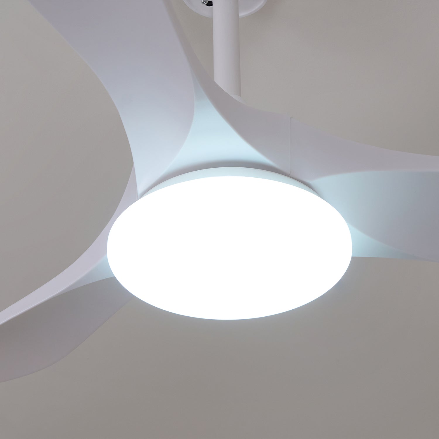 Curved Wood Fan Light
