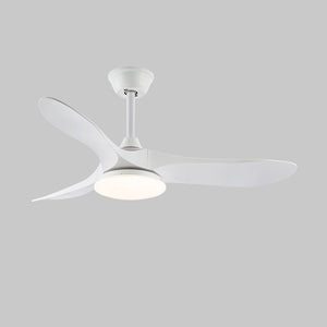 Curved Wood Fan Light