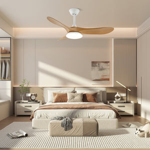 Curved Wood Fan Light