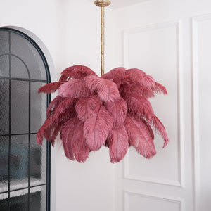 Feather Canopy Chandelier
