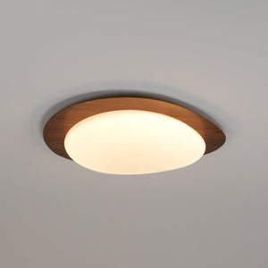 Pebble Wood Flush Light