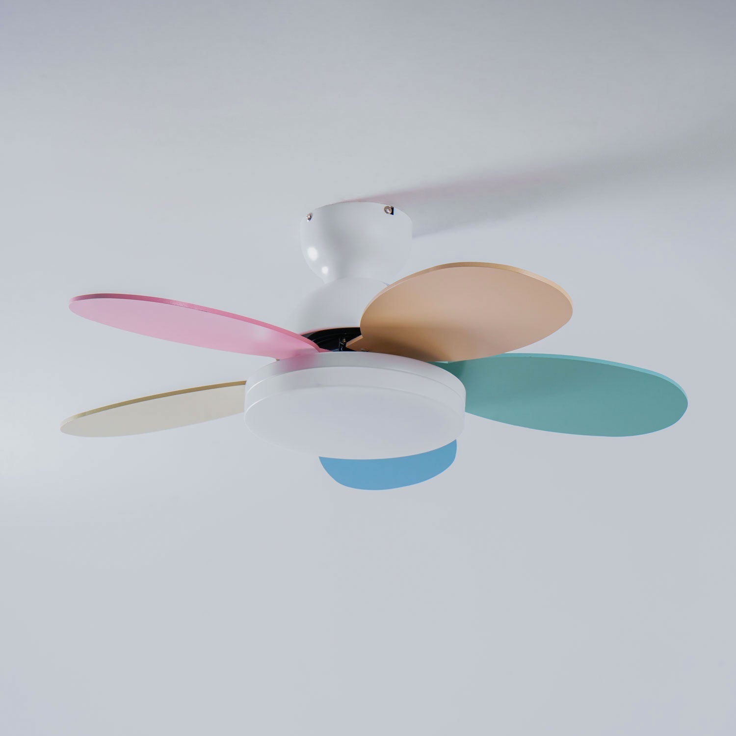 Petal Bloom Fan Light