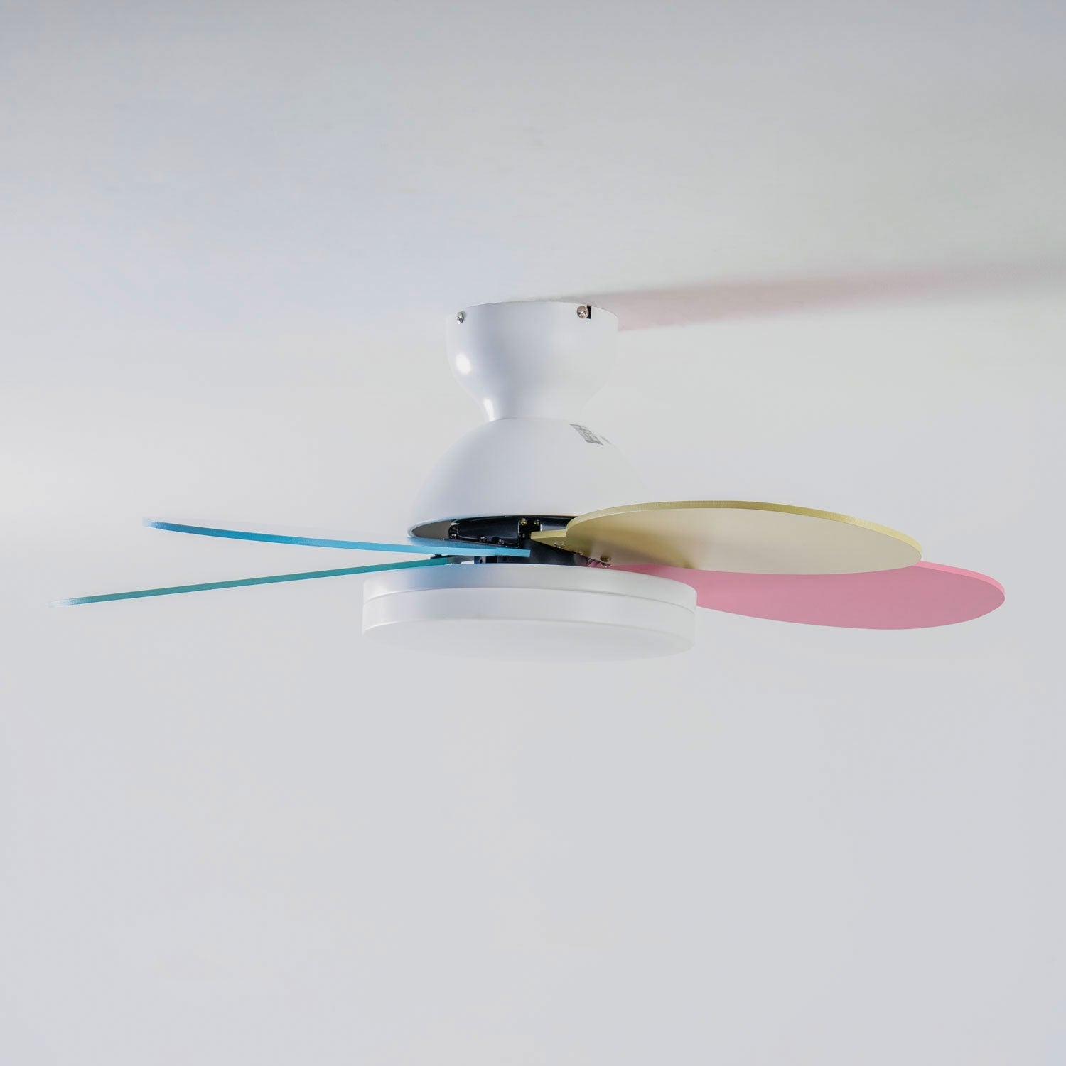 Petal Bloom Fan Light