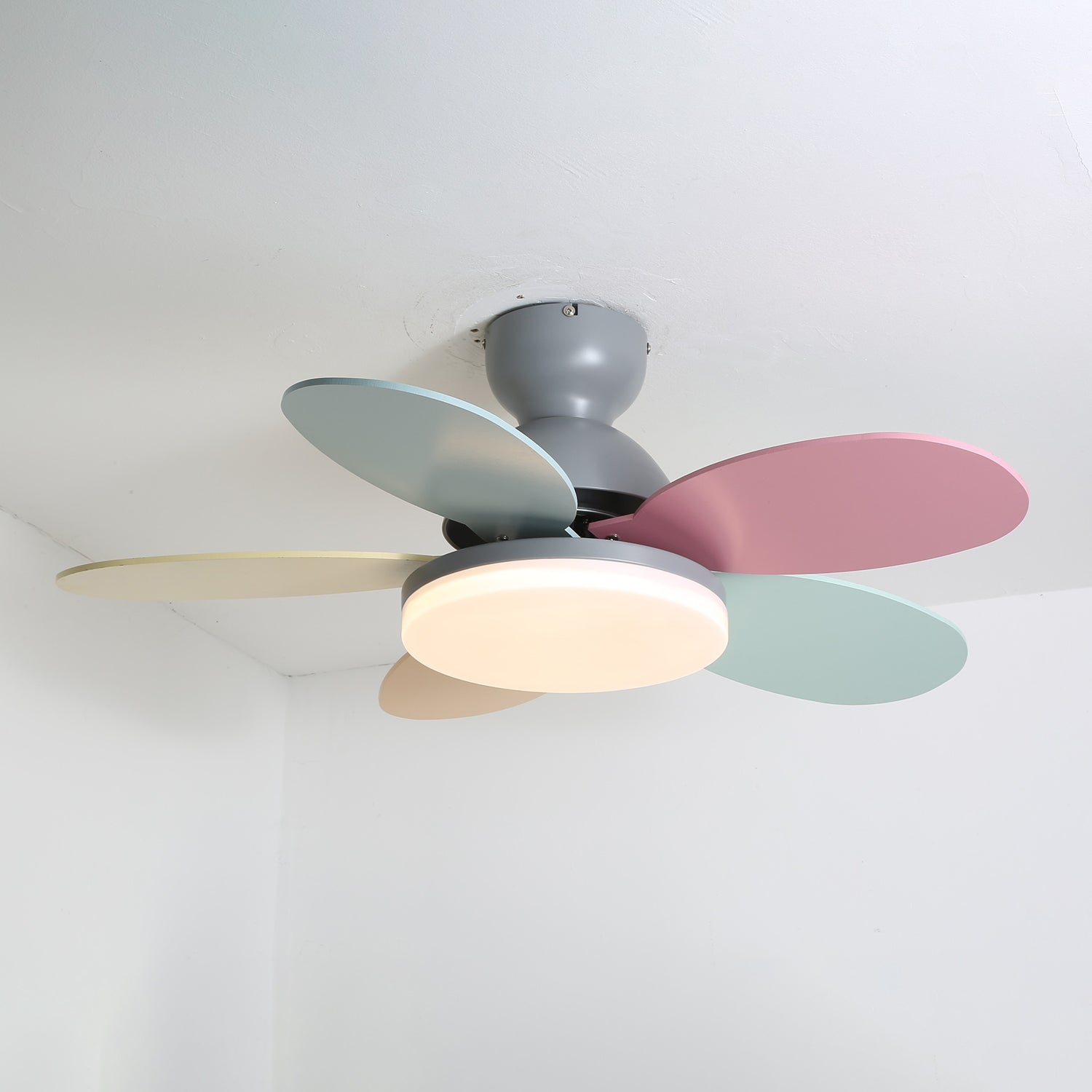 Petal Bloom Fan Light
