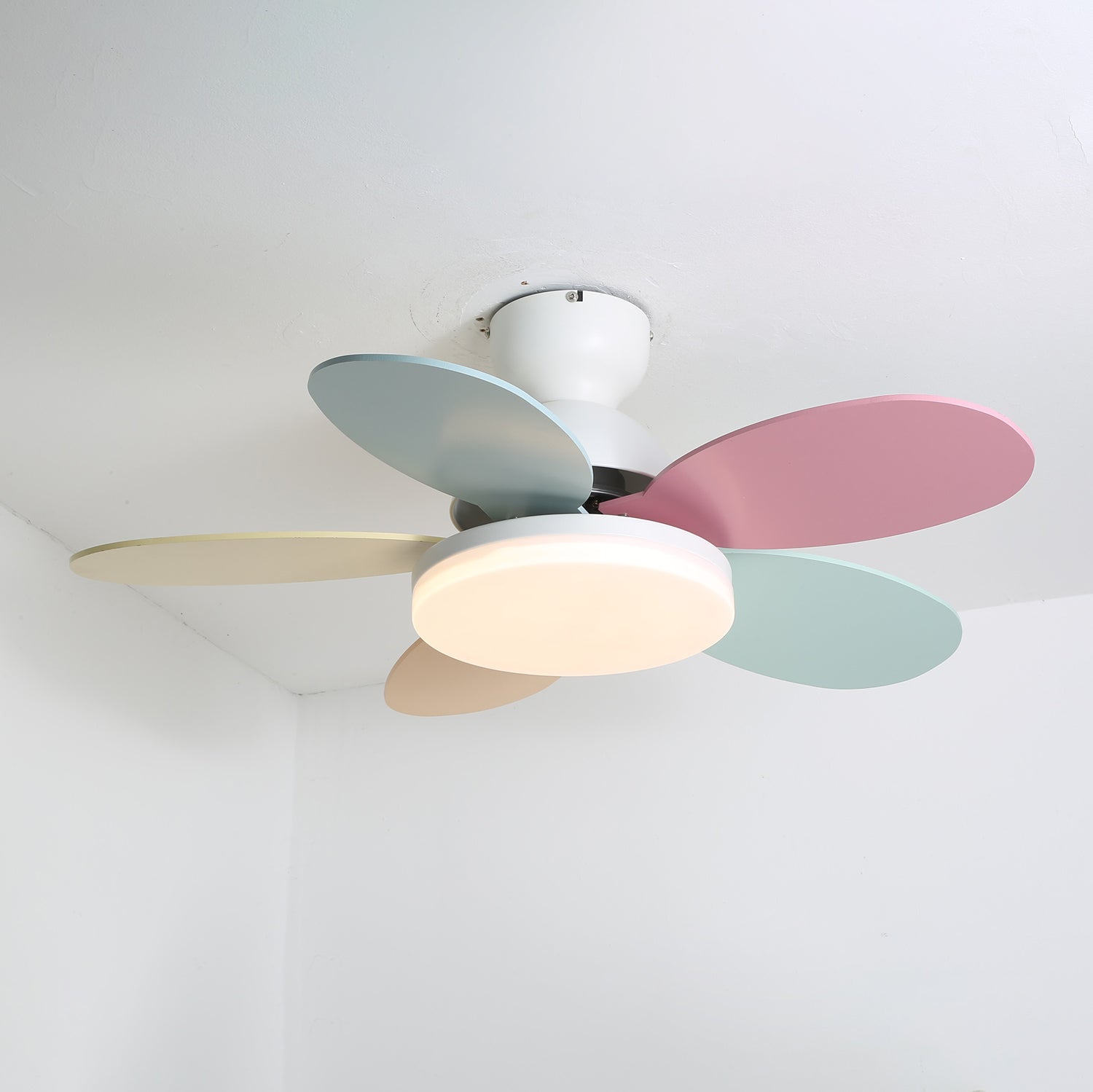 Petal Bloom Fan Light