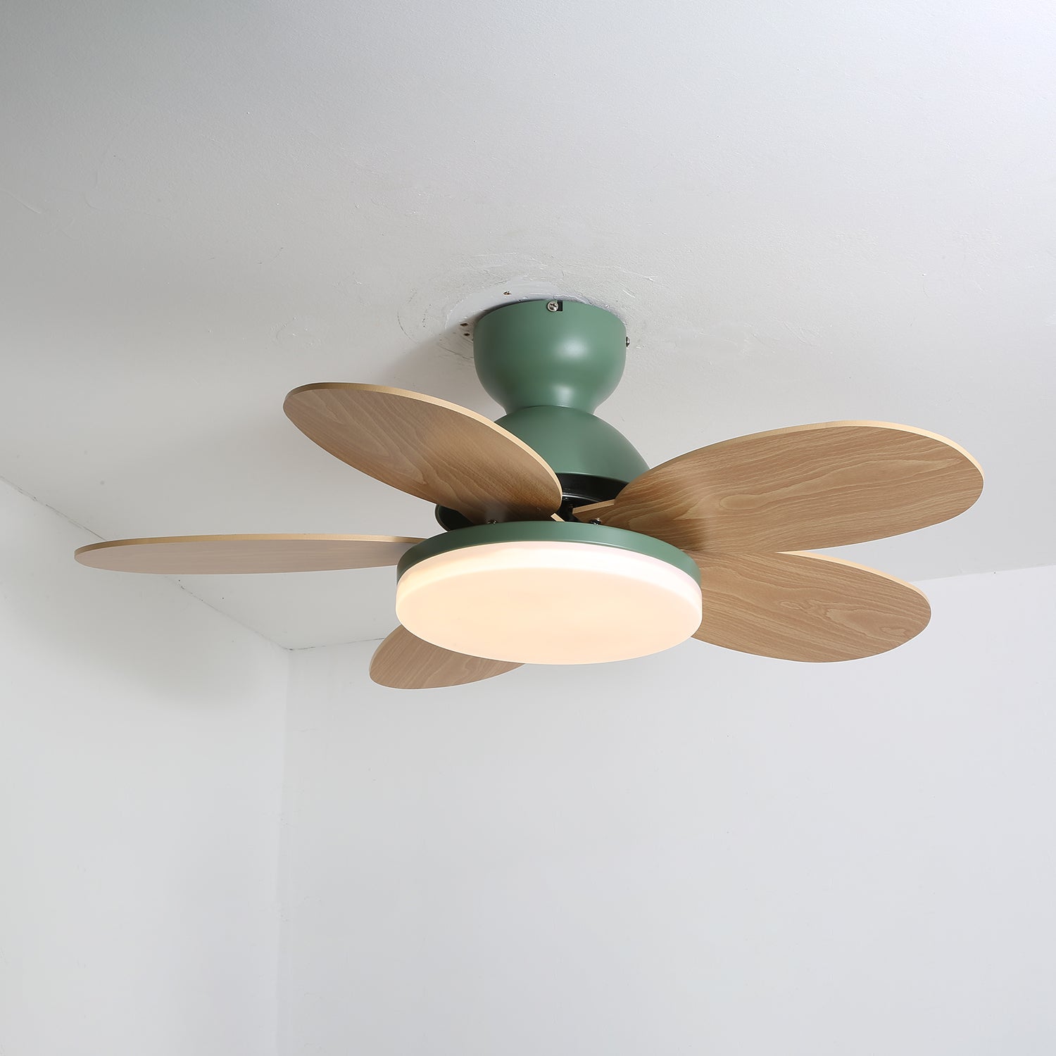 Petal Bloom Fan Light