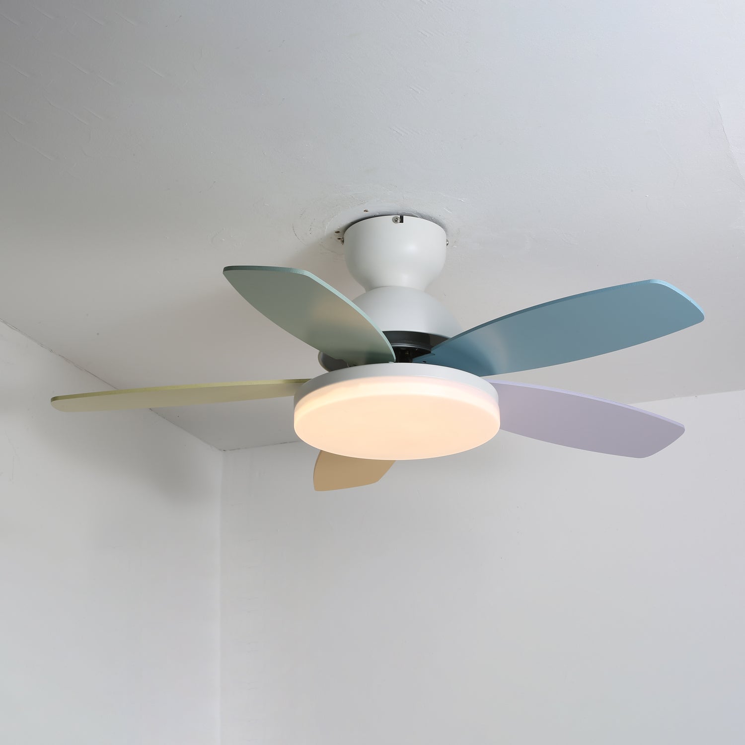 Petal Bloom Fan Light