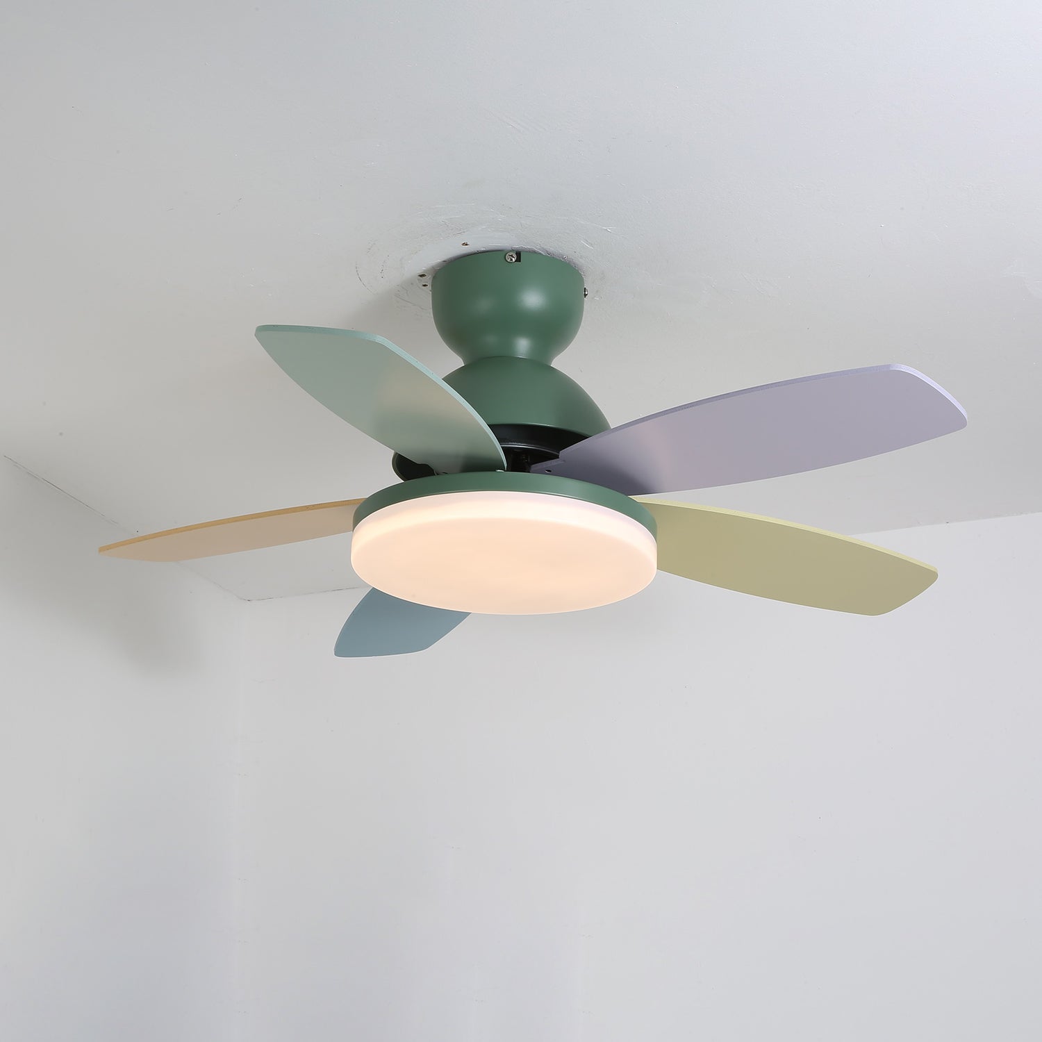 Petal Bloom Fan Light