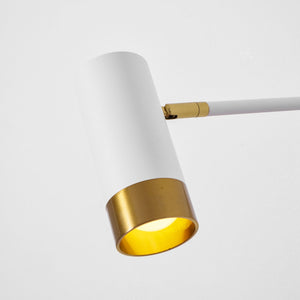 Vantage Swing Arm Light