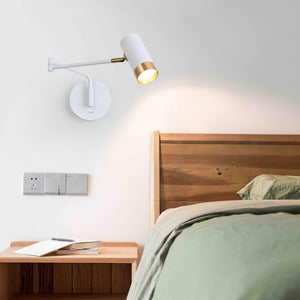 Vantage Swing Arm Light