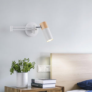 Vantage Swing Arm Light