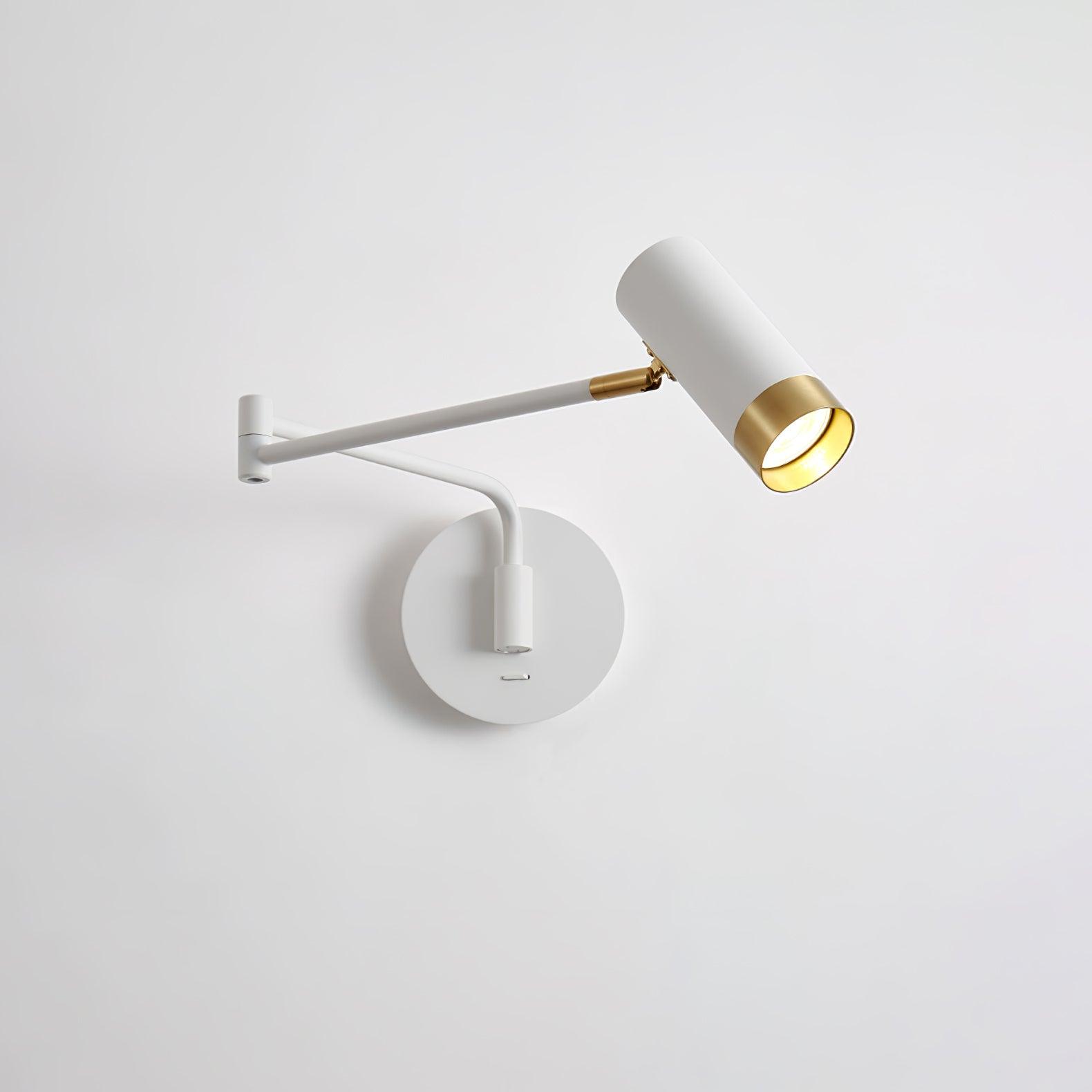 Vantage Swing Arm Light