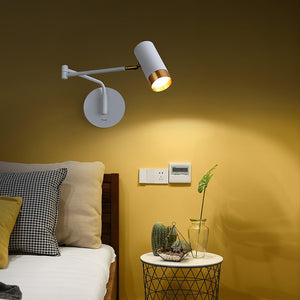 Vantage Swing Arm Light